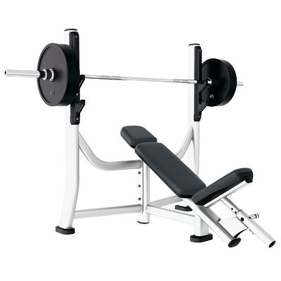 Life fitness 2025 incline bench